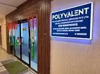 Polyvalent Digital Services Pvt. Ltd In Gurugram