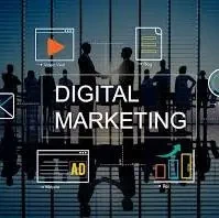 IT Insides A Digital Marketing and Web Design Company In Vadodara